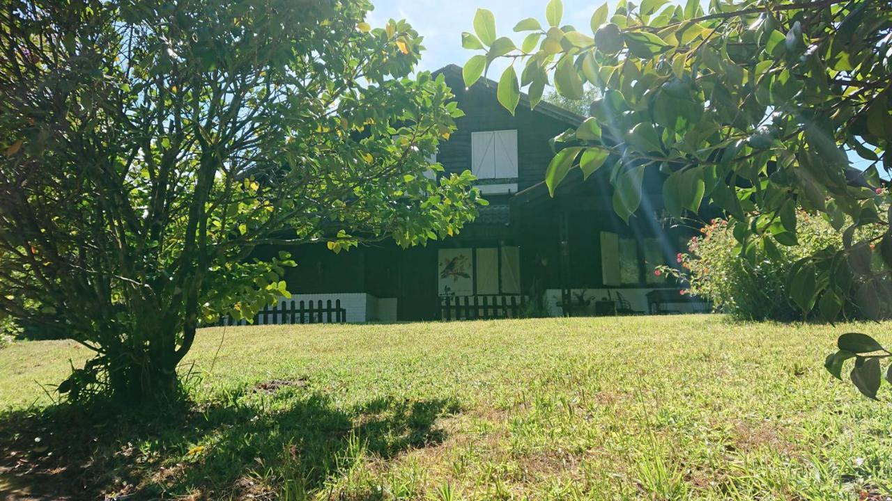 Slow House Y La Cabana De Miss Slower 尼格兰 外观 照片