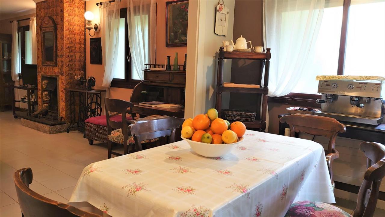 Slow House Y La Cabana De Miss Slower 尼格兰 外观 照片