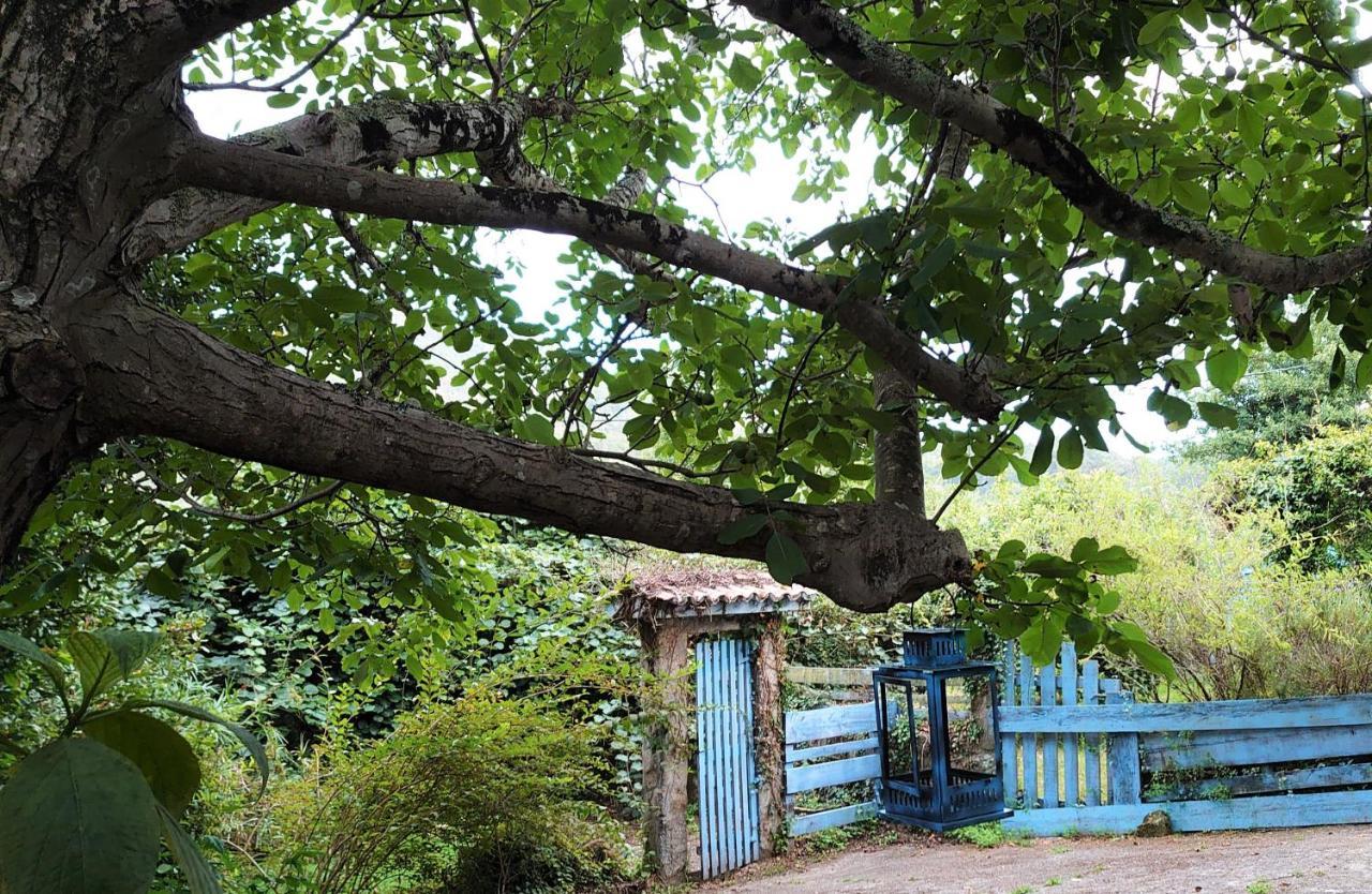 Slow House Y La Cabana De Miss Slower 尼格兰 外观 照片