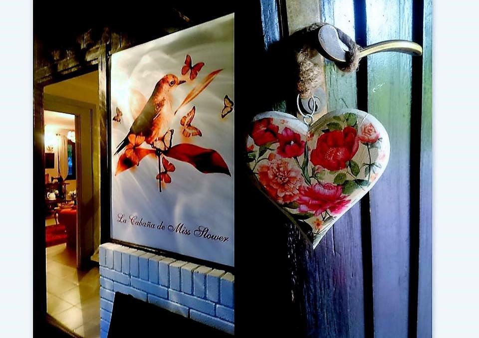 Slow House Y La Cabana De Miss Slower 尼格兰 外观 照片